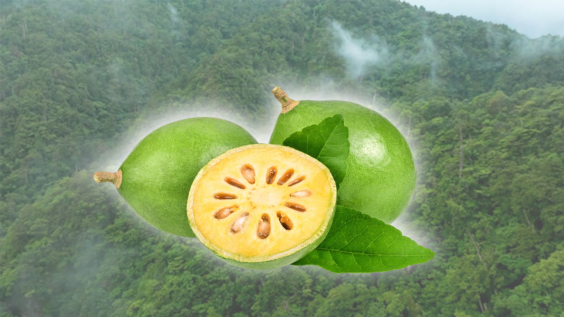 Natural Bael Image