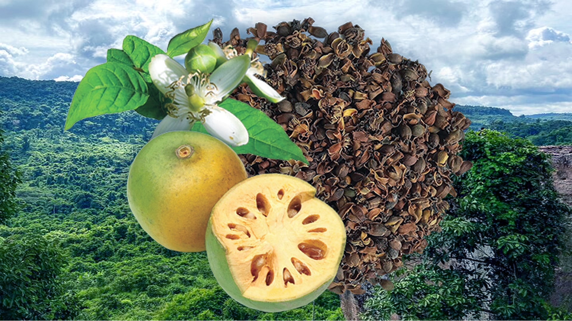 Natural Bael Image